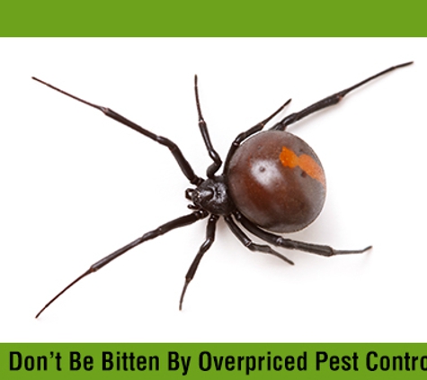 Affordable Pest Control - Nowra, NSW. Don’t Be Bitten By Overpriced Pest Control
