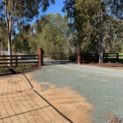 Gallery Image Number 5