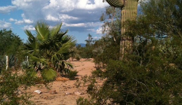 Tucson SnowBird Nest - Tucson, AZ