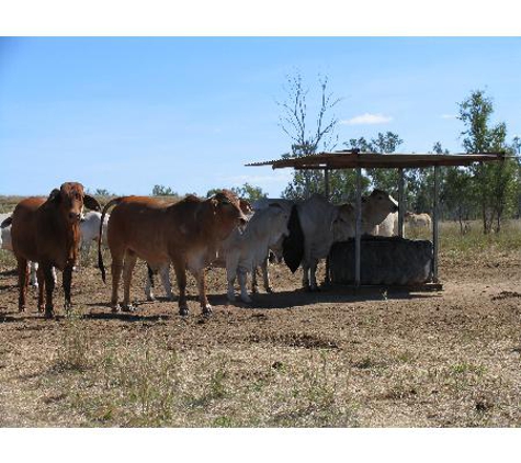 Coleman Stock Feeds Pty Ltd - Towers Hill, QLD