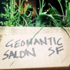 GEOMANTIC Salon SF gallery