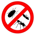 Bonas Pest Control Inc
