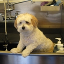 Johns Mobile Pet Grooming - Pet Grooming