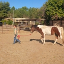 Discover Essential Horsemanship - Horse Training