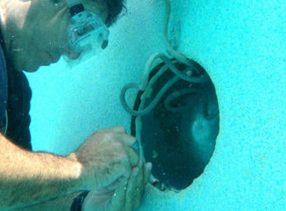 Florida Pool and Leak Specialists - Miami, FL