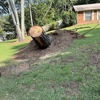 To Do Land Management gallery