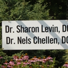 Levin and Chellen Chiropractic