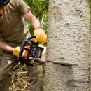 Hendrix Tree And Lawn Service - Tree Service