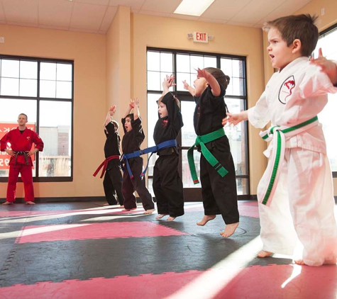 Dojo Karate - Waconia - Waconia, MN