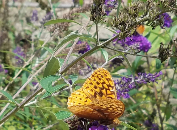 Dorothy Pecaut Nature Center - Sioux City, IA