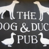 The Dog & Duck Pub gallery