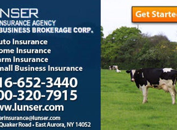 Lunser Insurance Agency - East Aurora, NY