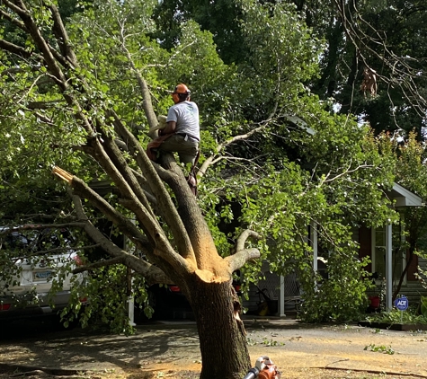 Rowland Tree Service - Cabot, AR