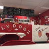 FlyDogz gallery