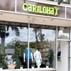 Cariloha gallery