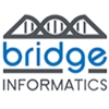 Bridge Informatics gallery