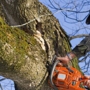 Action Tree Care