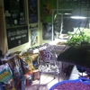 Indoor Growers Hydroponics & Organics gallery