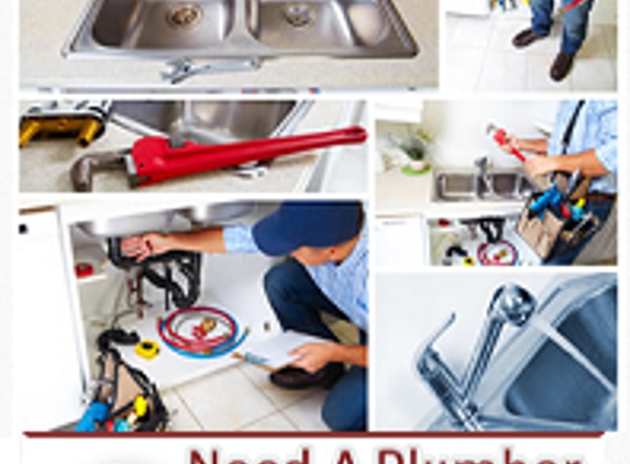 Plumbing Service in The Woodlands - The Woodlands, TX