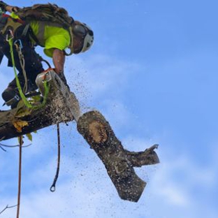 Appalachian Tree Service - Kennesaw, GA