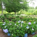 Four  Season Nursery - Garden Centers