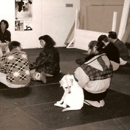 Birmingham Dog Obedience School - Pet Training
