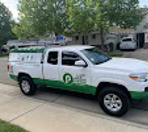 Pointer Pest Control - Granite Bay, CA