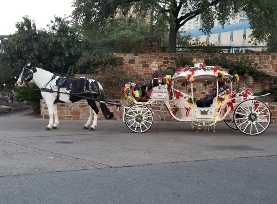 Lollypop Carriage Co Inc - San Antonio, TX