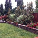 Shamrock Landscape Co - Landscaping & Lawn Services