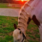 Misty River Equestrian Center