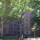 NYC Housing Gowanus Houses