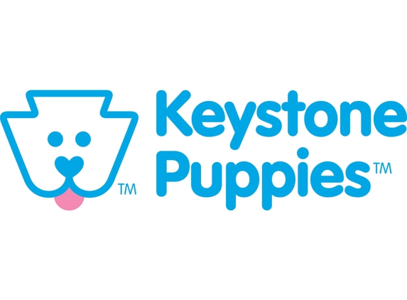 Keystone Puppies - Mount Joy, PA