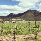 Troon Vineyard