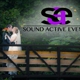 Sound Active Events