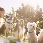 Animal Care Center