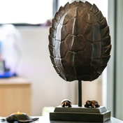 Gallery Image Number 3