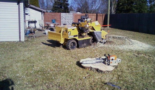 Down To Earth Tree & Stump Removal - Frankfort, IL