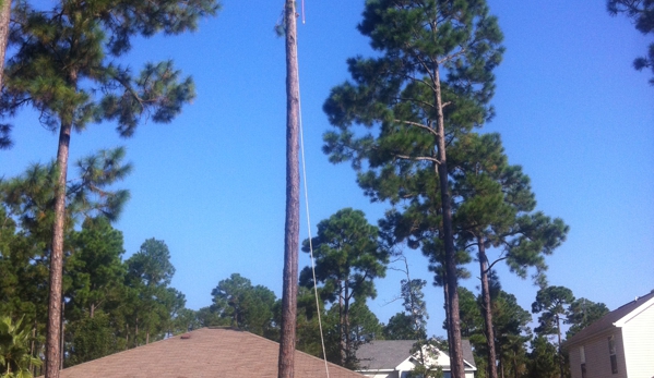 That 1 Tree Guy LLC - Niceville, FL