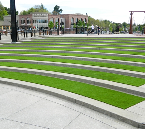 Sacramento Artificial Grass - Carmichael, CA