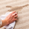 Central Valley Carpet Cleaning gallery