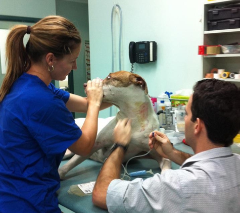 Edmonton Vet Clinic & Cattery - Bentley Park, QLD