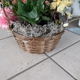 Carousel Florist