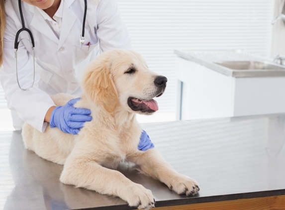 The Animal Hospital - Kalgoorlie, WA