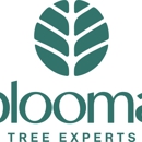 Blooma Tree Experts - Arborists