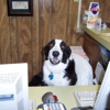 North Concho Veterinary Clinic gallery