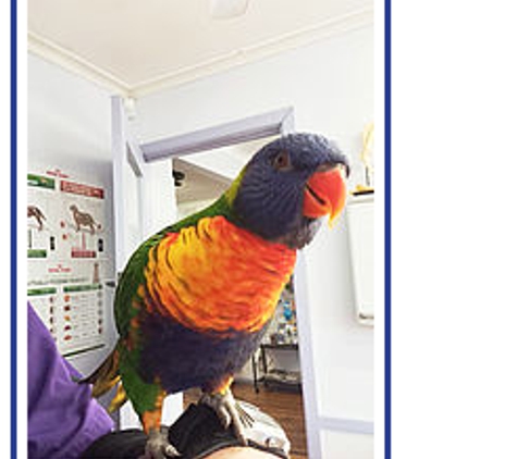 Laverton Veterinary Clinic