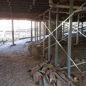 Gallery Image Number 3