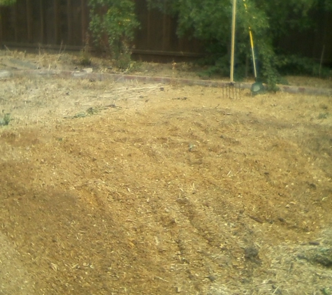 Tom 4 Stump Removal & Grinding - San Jose, CA