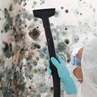 Mold Removal Express