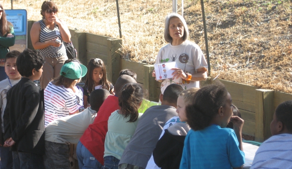 Clayton Valley Pumpkin Farm & Christmas Trees - Clayton, CA